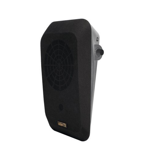 Фото IWS-10A (b)