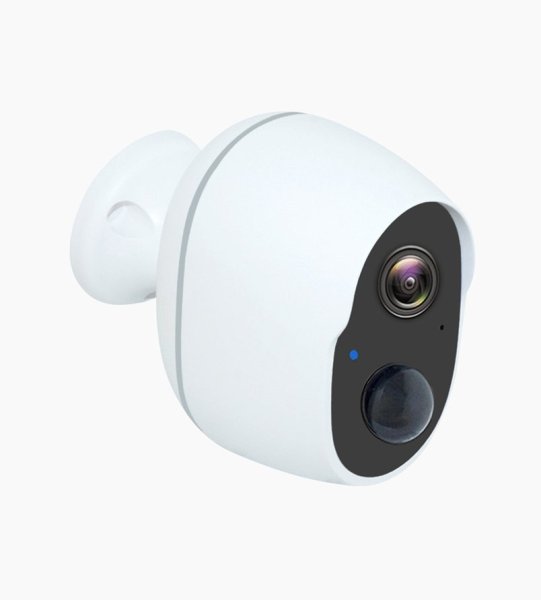 Фото BIOTECH CAT-1