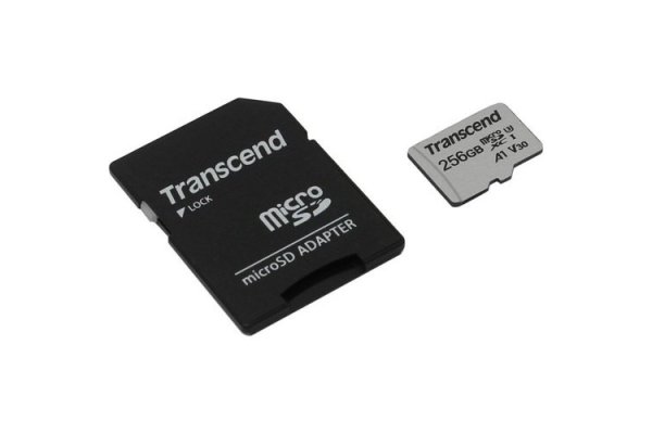 Фото TS256GUSD300S-A