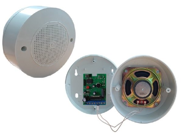 Фото Лигард-Раскат