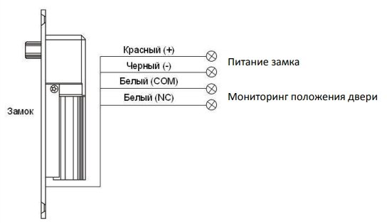 Фото ST-DB100MT