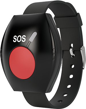 Фото BRC-L (868 МГц)