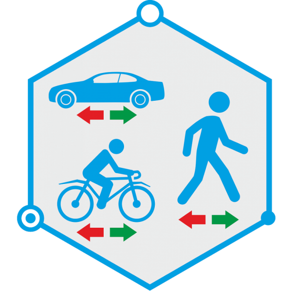 Фото TRASSIR Direction Detector