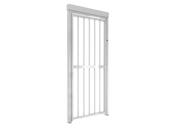 Фото CAME GUARDIAN GATE (001PSSGS)