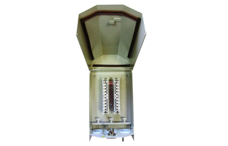 Фото ЯК-П-20 (120911-00091)