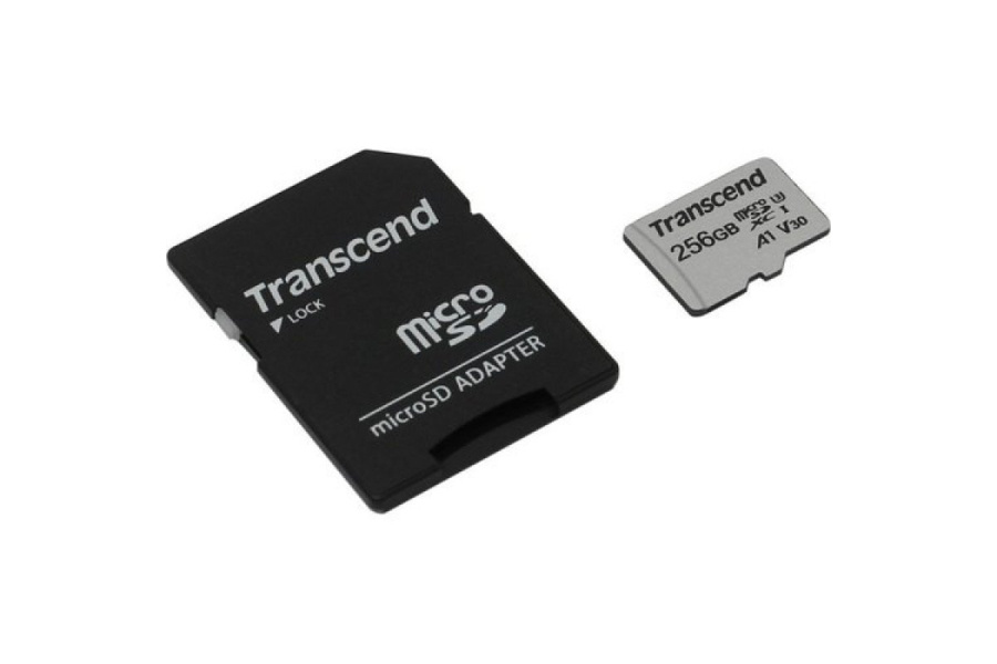 Фото TS256GUSD300S-A